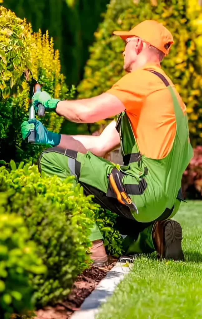 mantenimiento de jardines en cordoba capital